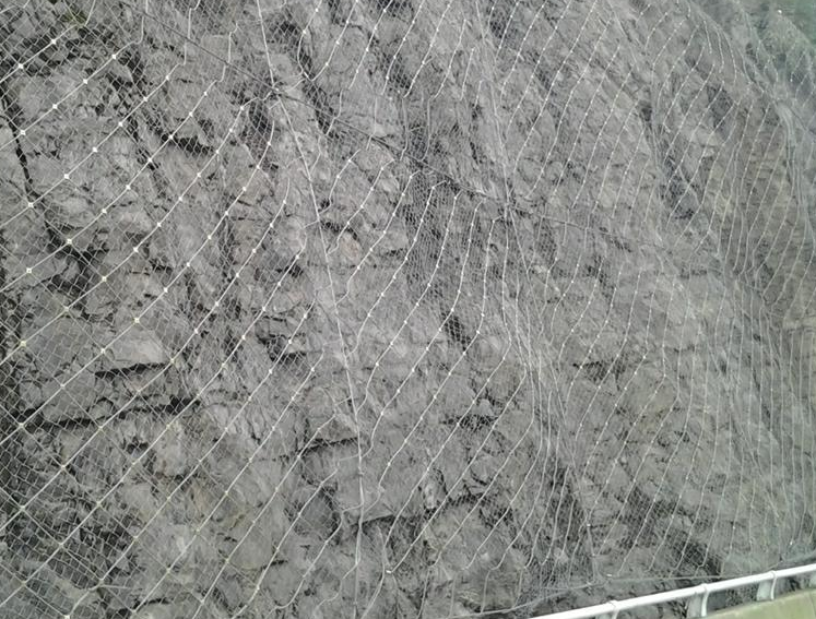 边坡防护网是按捺流砂现象很有用的办法-四川边坡防护网