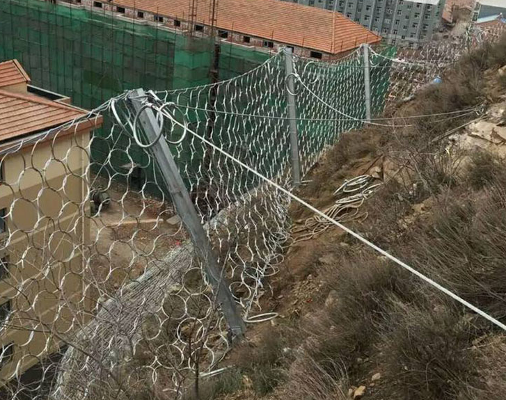 RXI-100被动防护网