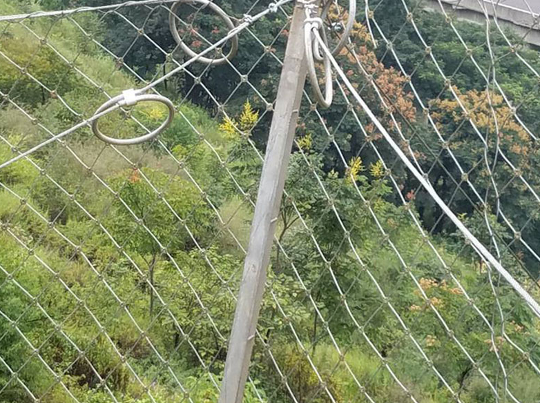 1672192575889359.png 微信截图_20221228095446.png