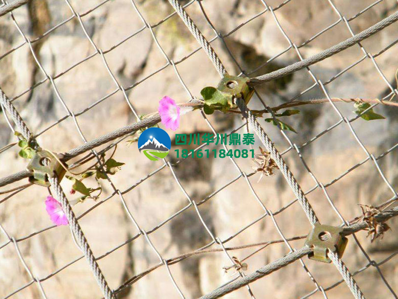 1672193604180946.png 微信截图_20221228101248.png