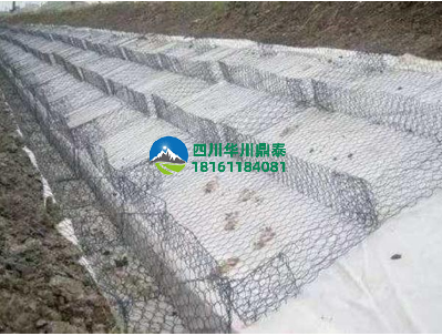 双隔板雷诺护垫