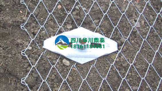 1677761092965388.png 钛克网.png